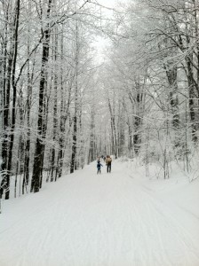 MNC and Craftsbury BK groups ski together on a snowy day