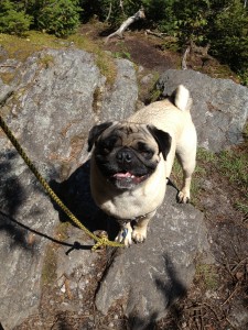 Tike on a hike!