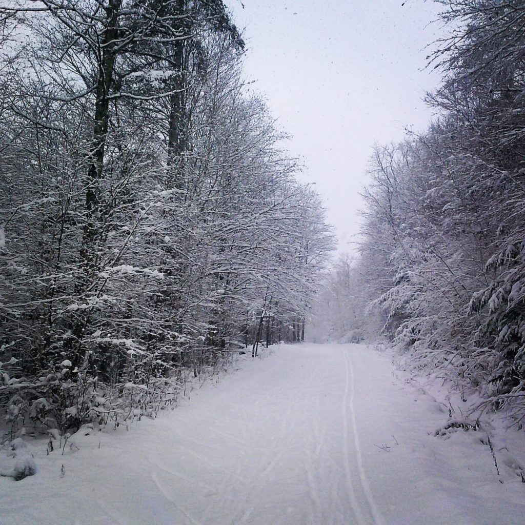 Looking up Ridge Road this morning at Sleepy Hollow